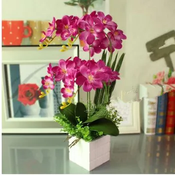 Dirbtinės Gėlės Phalaenopsis gėlių modeliavimas suite 